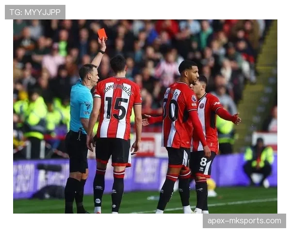 谢菲联球迷文化彰显热情与忠诚，稳健表现引关注