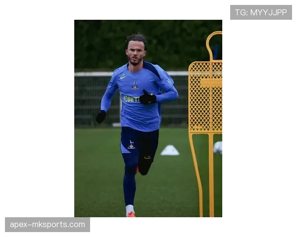 詹姆斯·麦迪逊