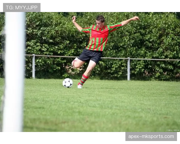 门将用手接回传球，规则允许的关键条件有哪些？